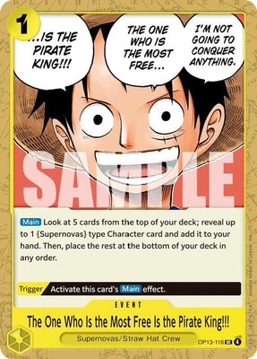 The One Who Is the Most Free Is the Pirate King!!!, Carrying On His Will